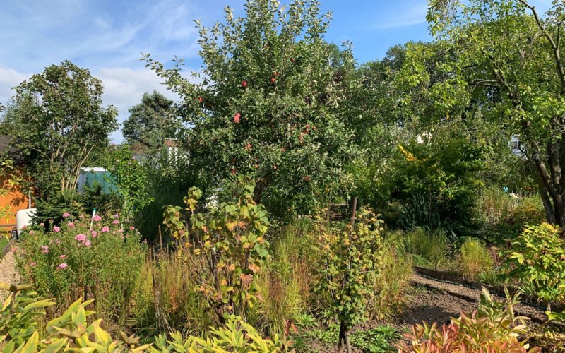 Garten mit massiver Laube Kleingartenanlage "Glück Auf e.V